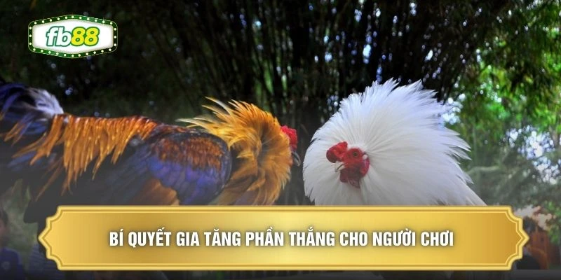 Bí quyết gia tăng phần thắng cho người chơi 