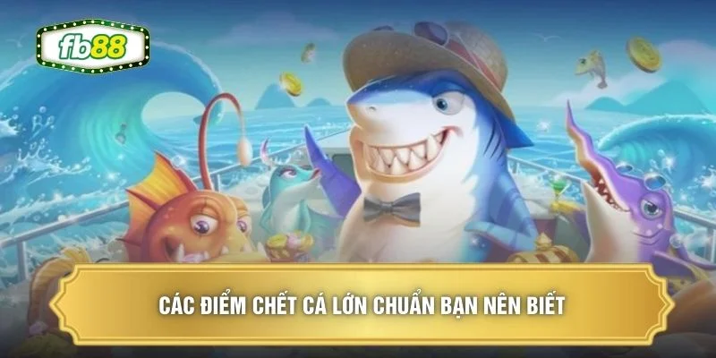 Các điểm chết cá lớn chuẩn bạn nên biết