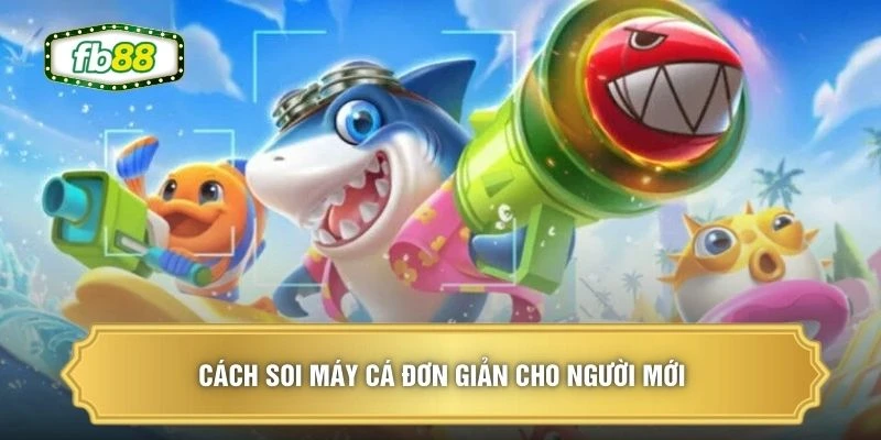 Cách soi máy cá đơn giản cho người mới 