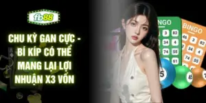 Chu Kỳ Gan Cực - Bí Kíp Có Thể Mang Lại Lợi Nhuận X3 Vốn