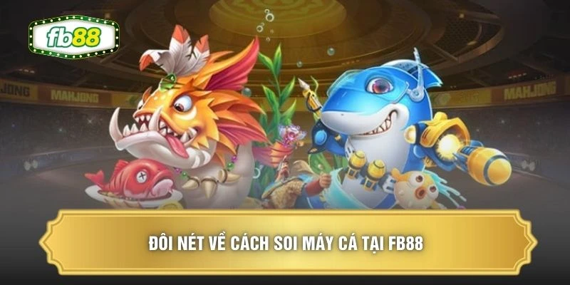 Đôi nét về cách soi máy cá tại FB88 