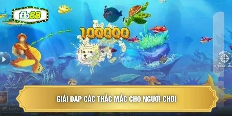 Giải đáp các thắc mắc cho người chơi 