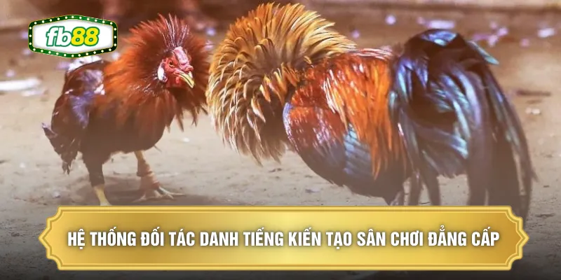 Hệ thống đối tác danh tiếng kiến tạo sân chơi đẳng cấp