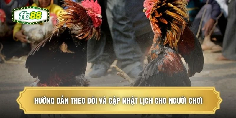 Hướng dẫn theo dõi và cập nhật lịch cho người chơi 