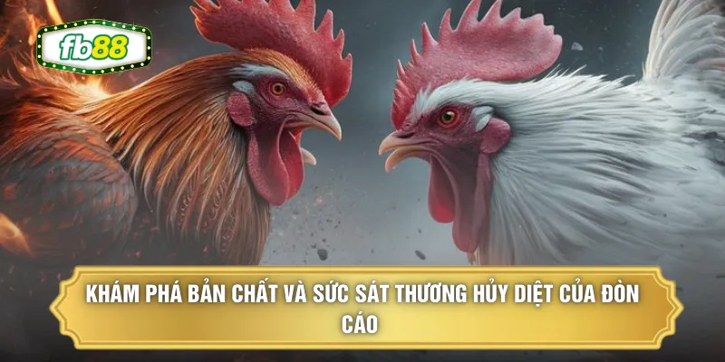 Khám phá bản chất và sức sát thương hủy diệt của đòn cáo 