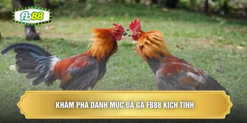 Khám phá danh mục đá gà FB88 kịch tính