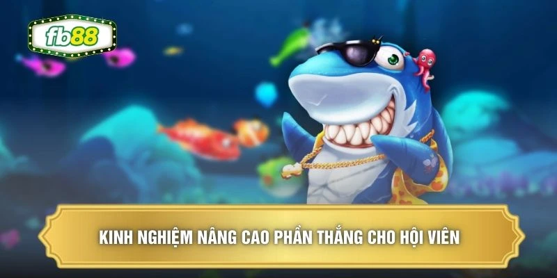 Kinh nghiệm nâng cao phần thắng cho hội viên 