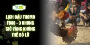 Lịch Đấu Thomo FB88 - 3 Khung Giờ Vàng Không Thể Bỏ Lỡ