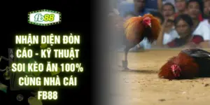 Nhận Diện Đòn Cáo - Kỹ Thuật Soi Kèo Ăn 100% Cùng Nhà Cái FB88