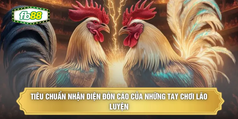 Tiêu chuẩn nhận diện đòn cáo của những tay chơi lão luyện
