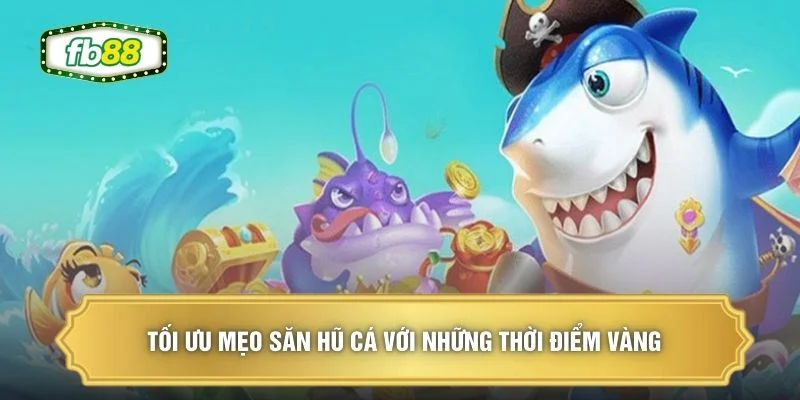 Tối ưu mẹo săn hũ cá với những thời điểm vàng