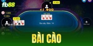 bai cao