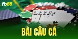 bai cau ca