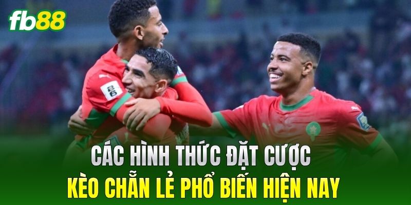 Các hình thức đặt cược Kèo Chẵn Lẻ phổ biến hiện nayCác hình thức đặt cược Kèo Chẵn Lẻ phổ biến hiện nay