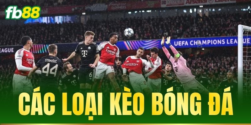 cac loai keo bong da