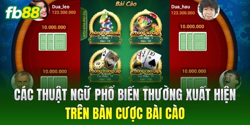 Các thuật ngữ phổ biến thường xuất hiện trên bàn cược Bài Cào