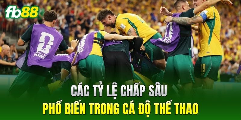 Các tỷ lệ chấp sâu phổ biến trong cá độ thể thao