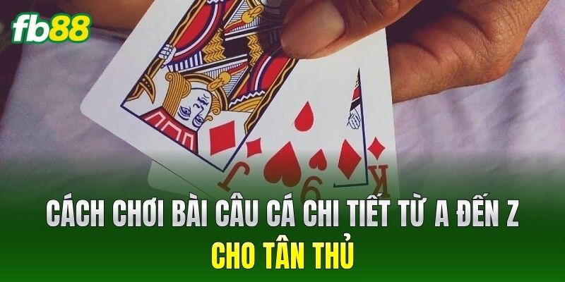 Cách chơi Bài Câu Cá chi tiết từ A đến Z cho tân thủ