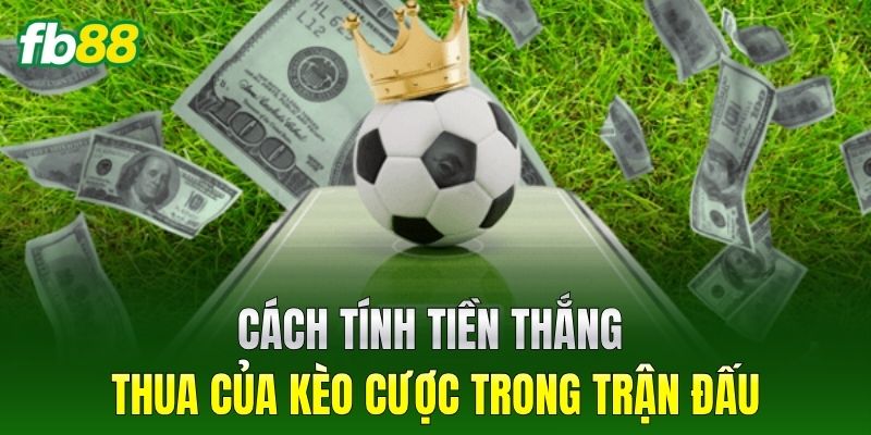 Cách tính tiền thắng thua của kèo cược trong trận đấu