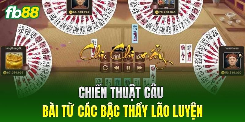 Chiến thuật câu bài từ các bậc thầy lão luyện