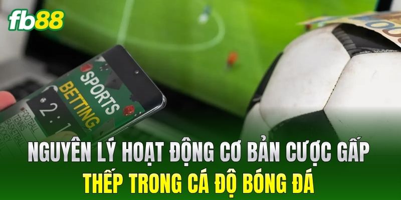 Nguyên lý hoạt động cơ bản Cược Gấp Thếp trong cá độ bóng đá